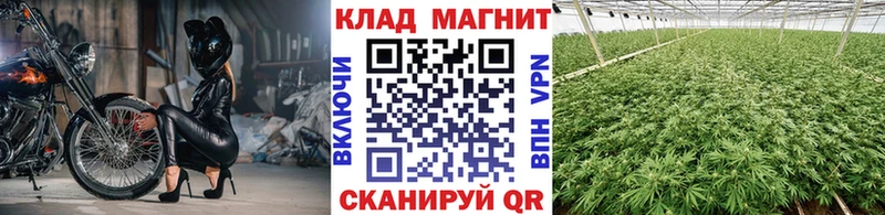  Cocaine Минусинск