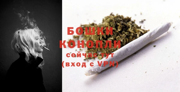 spice Арсеньев