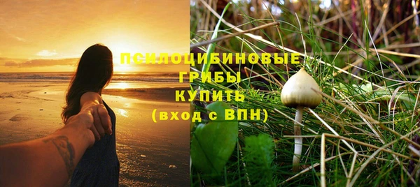 прущая мука Лиски